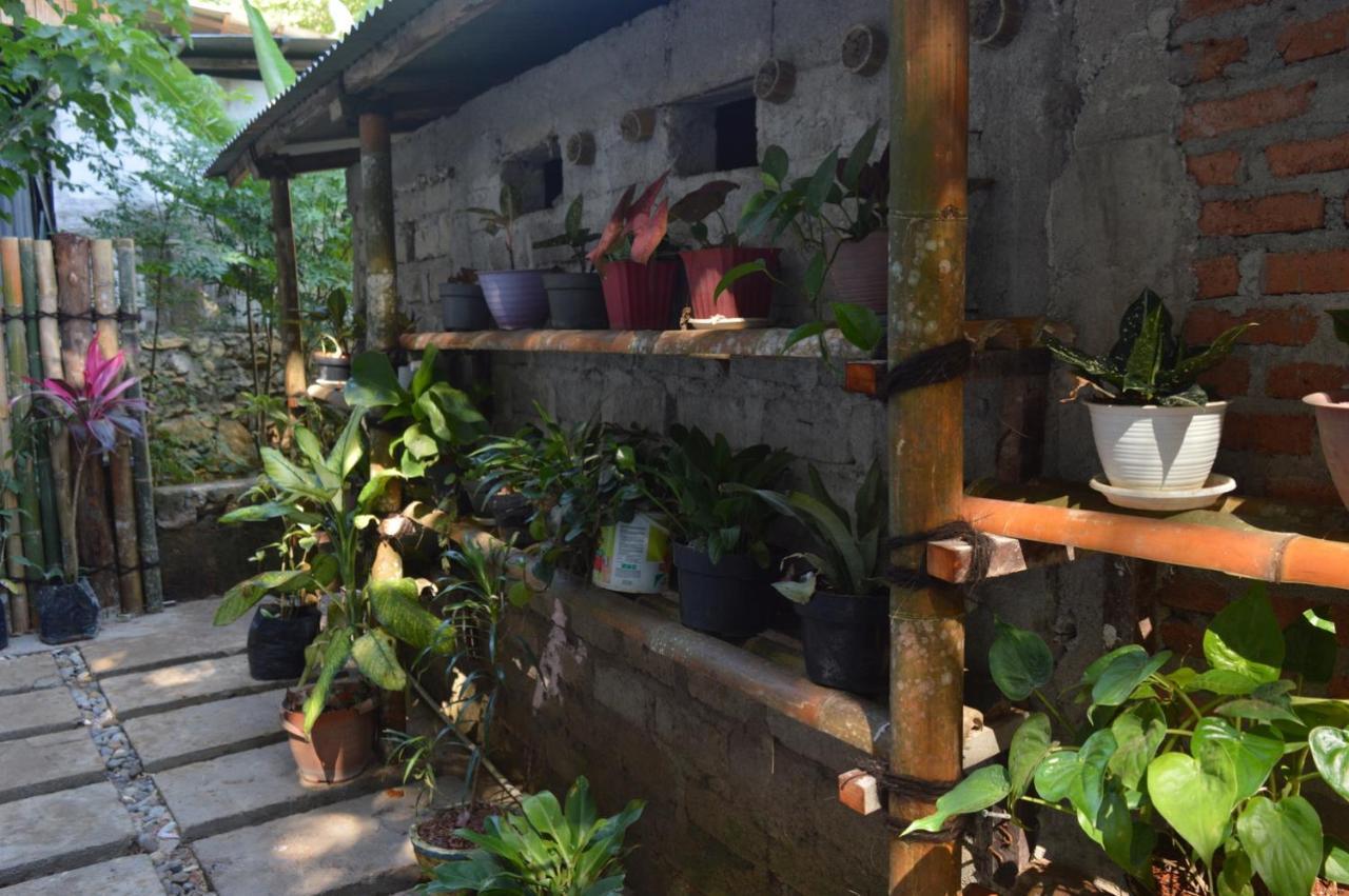Labuan Bajo Mahoni Guesthouse Exterior foto